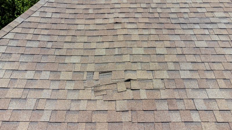 Asphalt Roof Inspection in Erie, CO