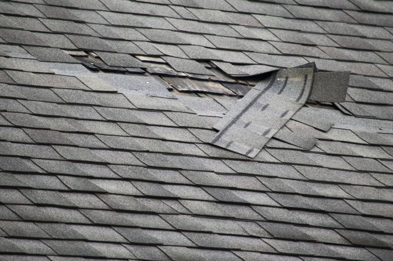 Asphalt Roof Leak Repair in Westminster, CO