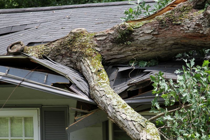 Asphalt Roofing Service in Arvada, CO