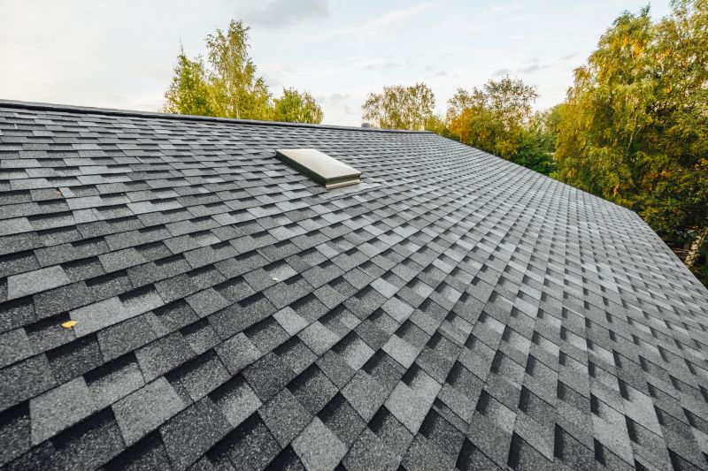 Asphalt Shingles Installation in Clear Creek County, CO