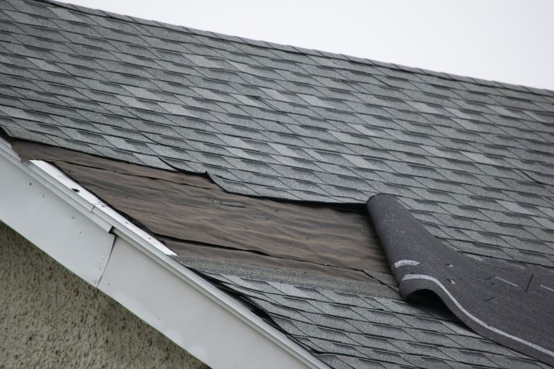 Asphalt Shingles Repair in Arvada, CO