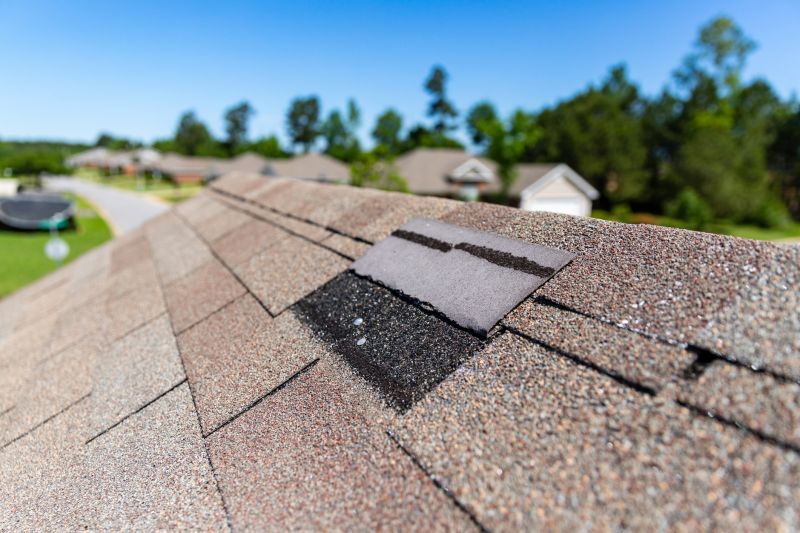 Asphalt Shingles Repair in Morrison, CO