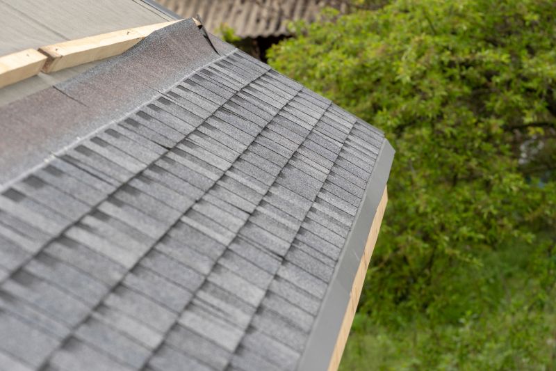 Damaged Roof Repair in Boulder, CO