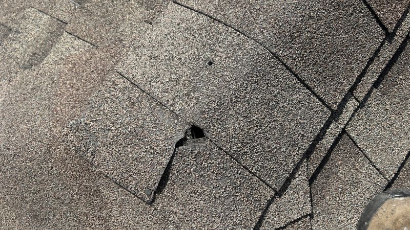Damaged Roof Repair in Boulder County, CO