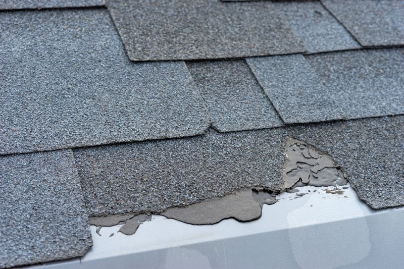 Damaged Roof Repair in Evergreen, CO