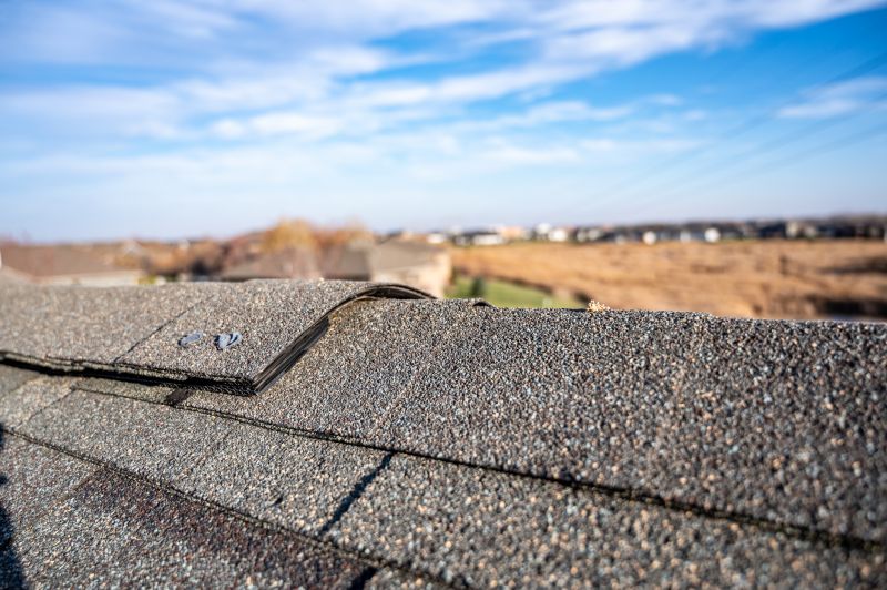 Damaged Roof Repair in Gilpin County, CO