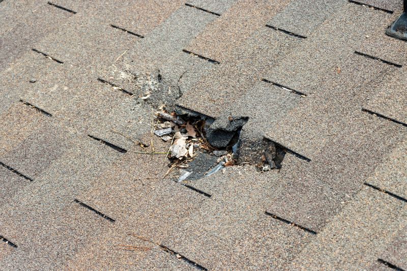 Damaged Roof Replacement in Arvada, CO