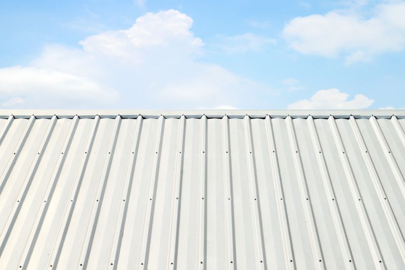 Metal Roof Coating Service in Arvada, CO