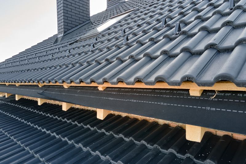 Roof Construction in Black Hawk, CO