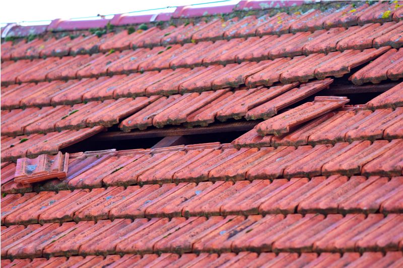 Roof Damage Inspection in Nederland, CO