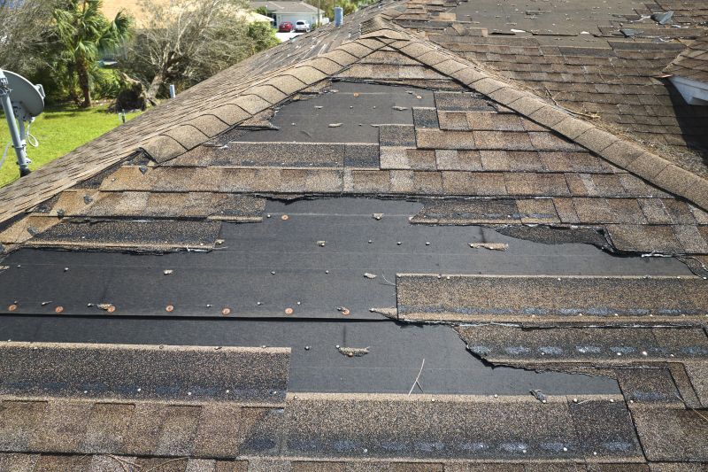 Roof Hail Damage Repair in Arvada, CO