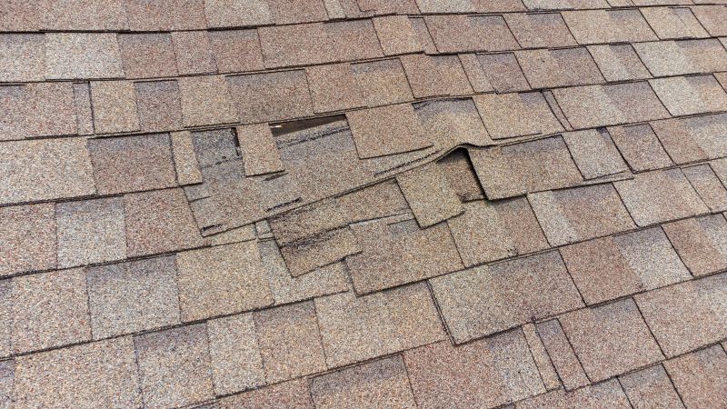 Roof Hail Damage Repair in Arvada, CO