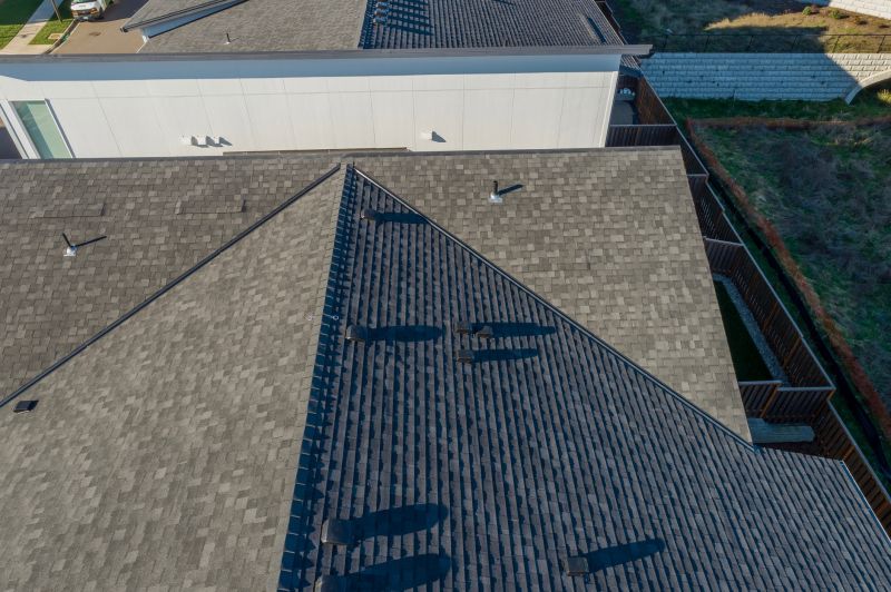 Roof Patching Service in Arvada, CO
