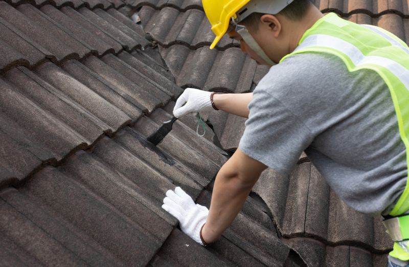 Roof Patching Service in Arvada, CO