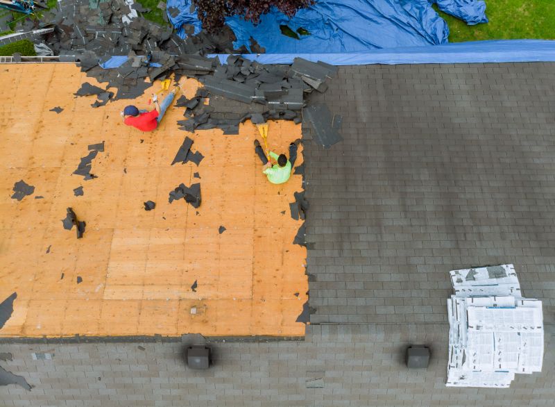 Roof Shingles Replacement in Arvada, CO