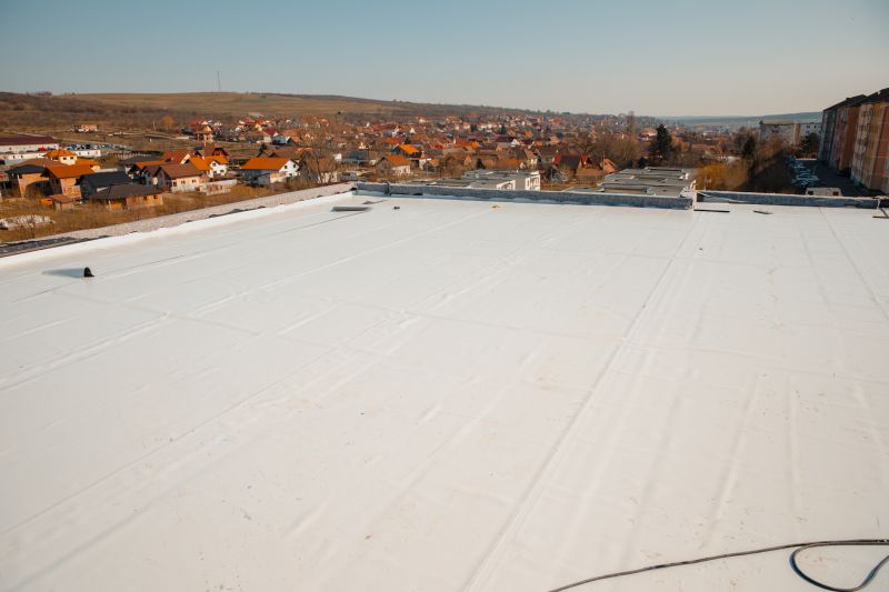 Rubber Roof Repair in Boulder, CO