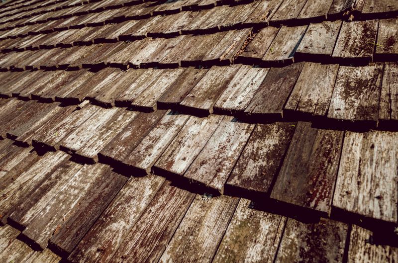 Shake Roof Replacement in Nederland, CO