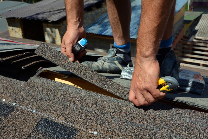 Shingles Repair in Evergreen, CO